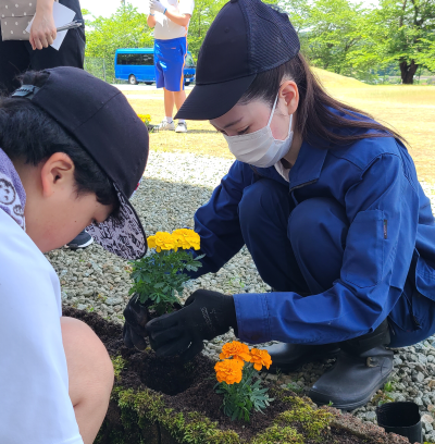 花植え