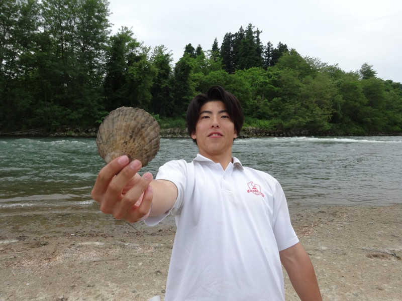 ④